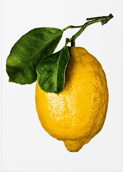 Boken When Life Gives You Lemons – en gastronomisk reise gjennom kunst, historie og mat.